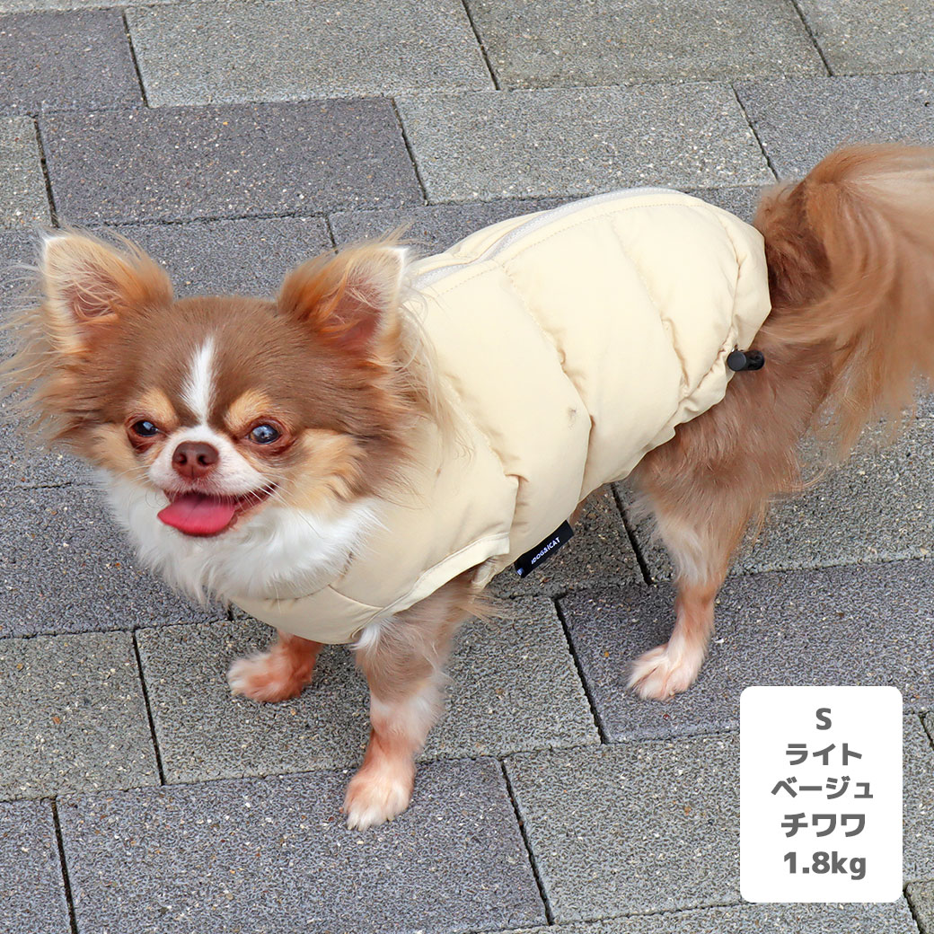 フレブル10.3kg(首38/胴56/丈34cm)のブランくんはオレンジのFを着用