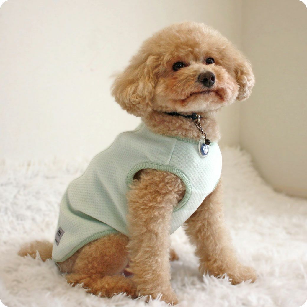 iDog UNAGE ウェルネスウェア 背中開き裏起毛タンク