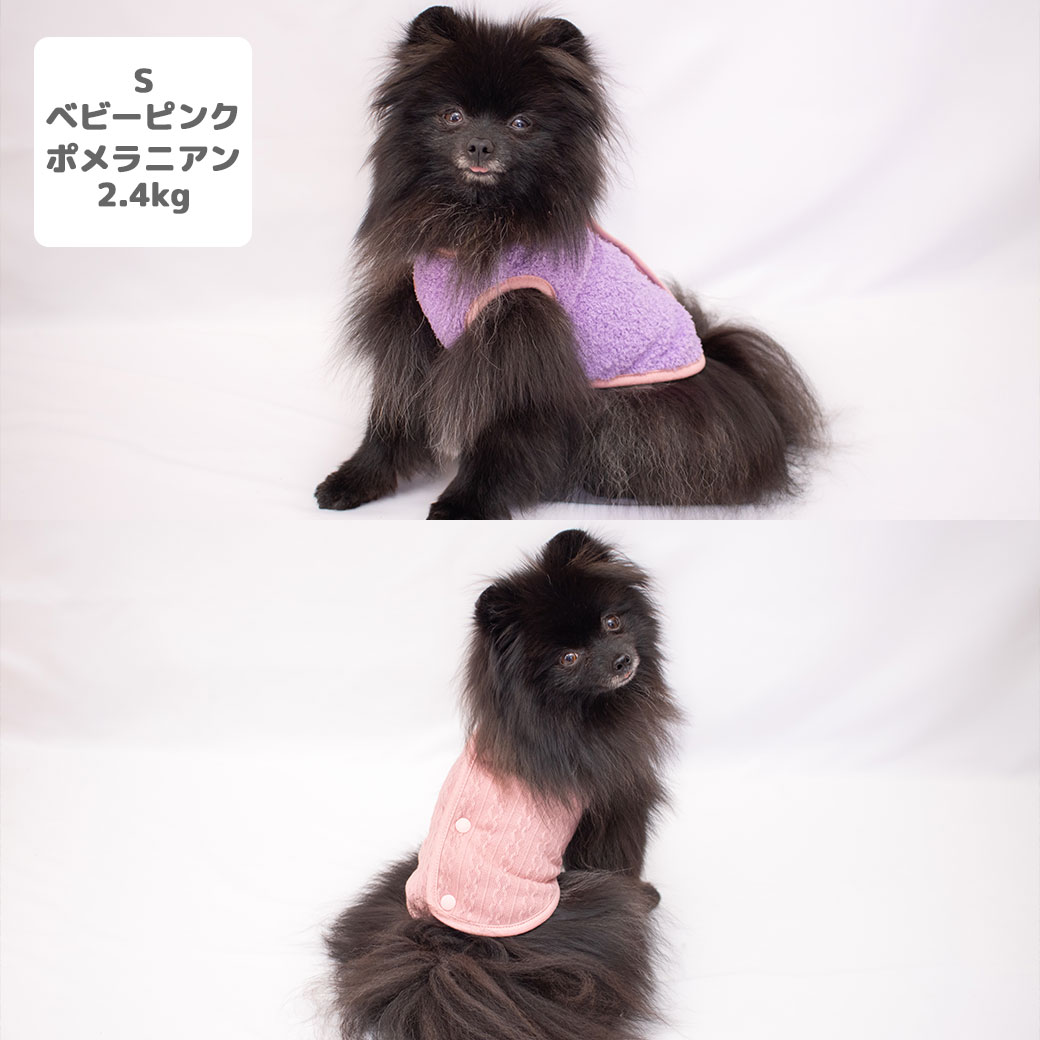 シーズー5.4kg(首26/胴38/丈38cm)のつぶくんはブルーのLを着用