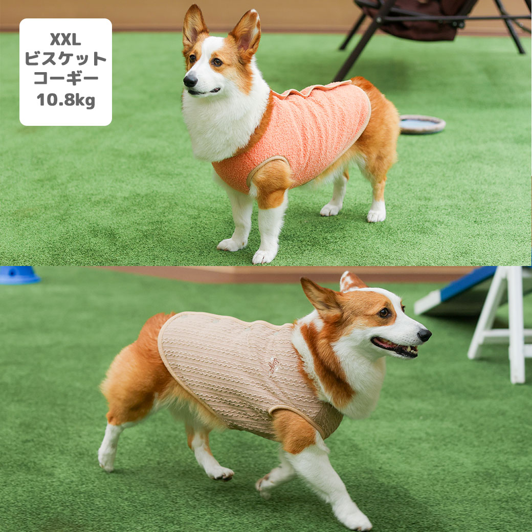 ウェア仕上がりサイズ