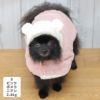 ポメラニアン2.4kg(首19/胴30/丈26cm)のはちみつちゃんはピンクのSを着用