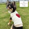 チワワ1.7kg(首18/胴23/丈27cm)のざらめちゃんはいちごオフホワイトのXSを着用
