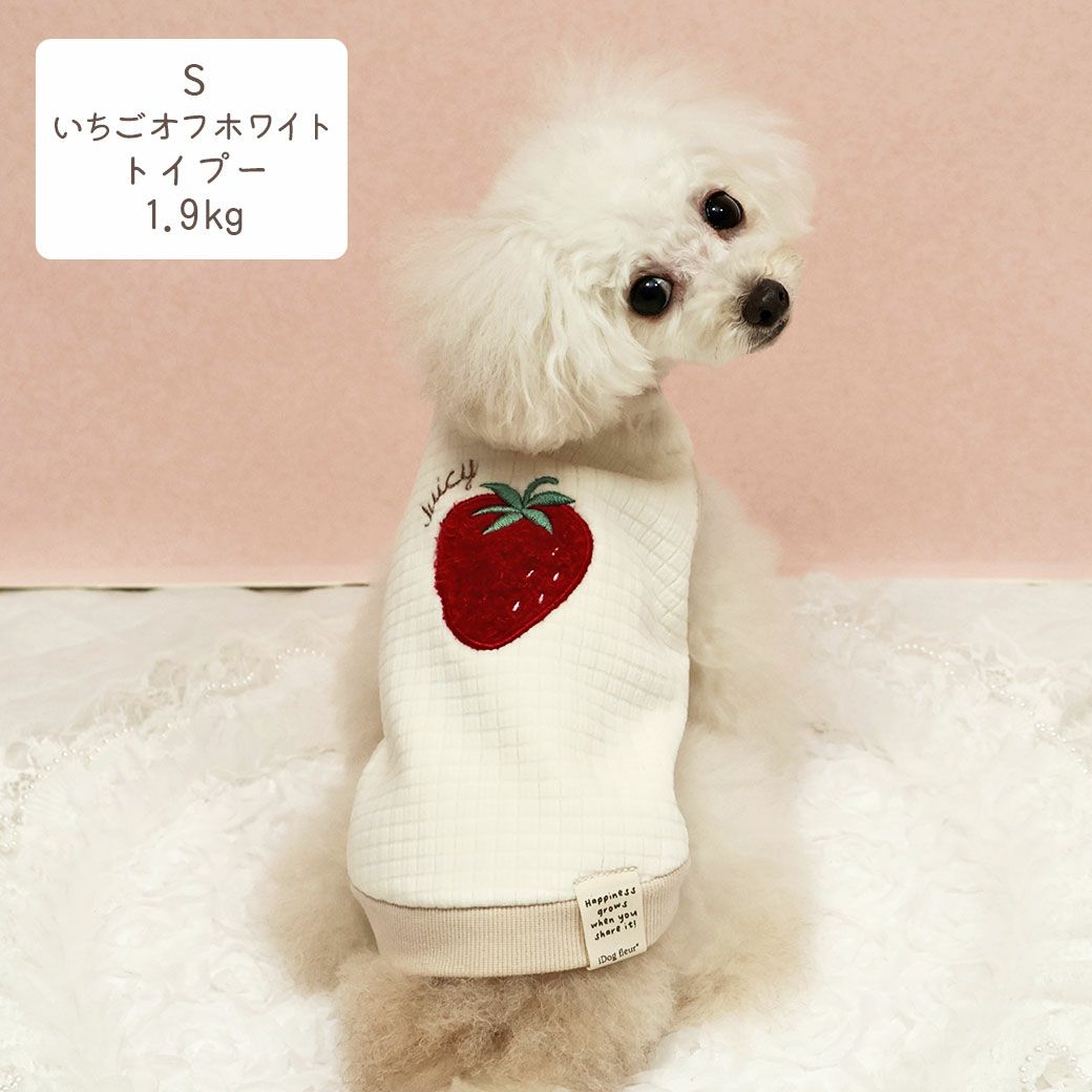 トイプー1.9kg(首17/胴29/丈22cm)のメリナちゃんはいちごオフホワイトのSを着用
