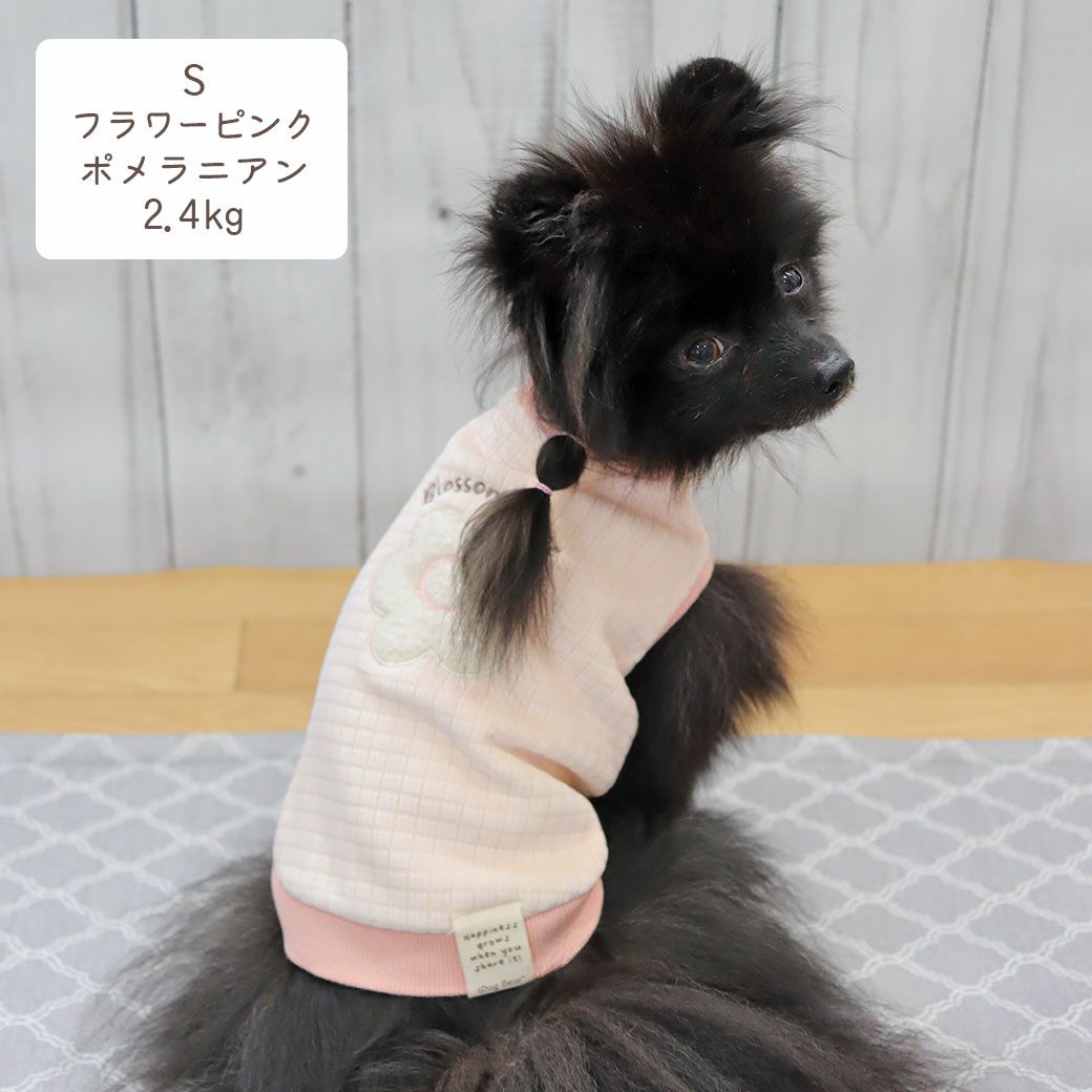 ポメラニアン2.4kg(首19/胴30/丈26cm)のはちみつちゃんはフラワーピンクのSを着用