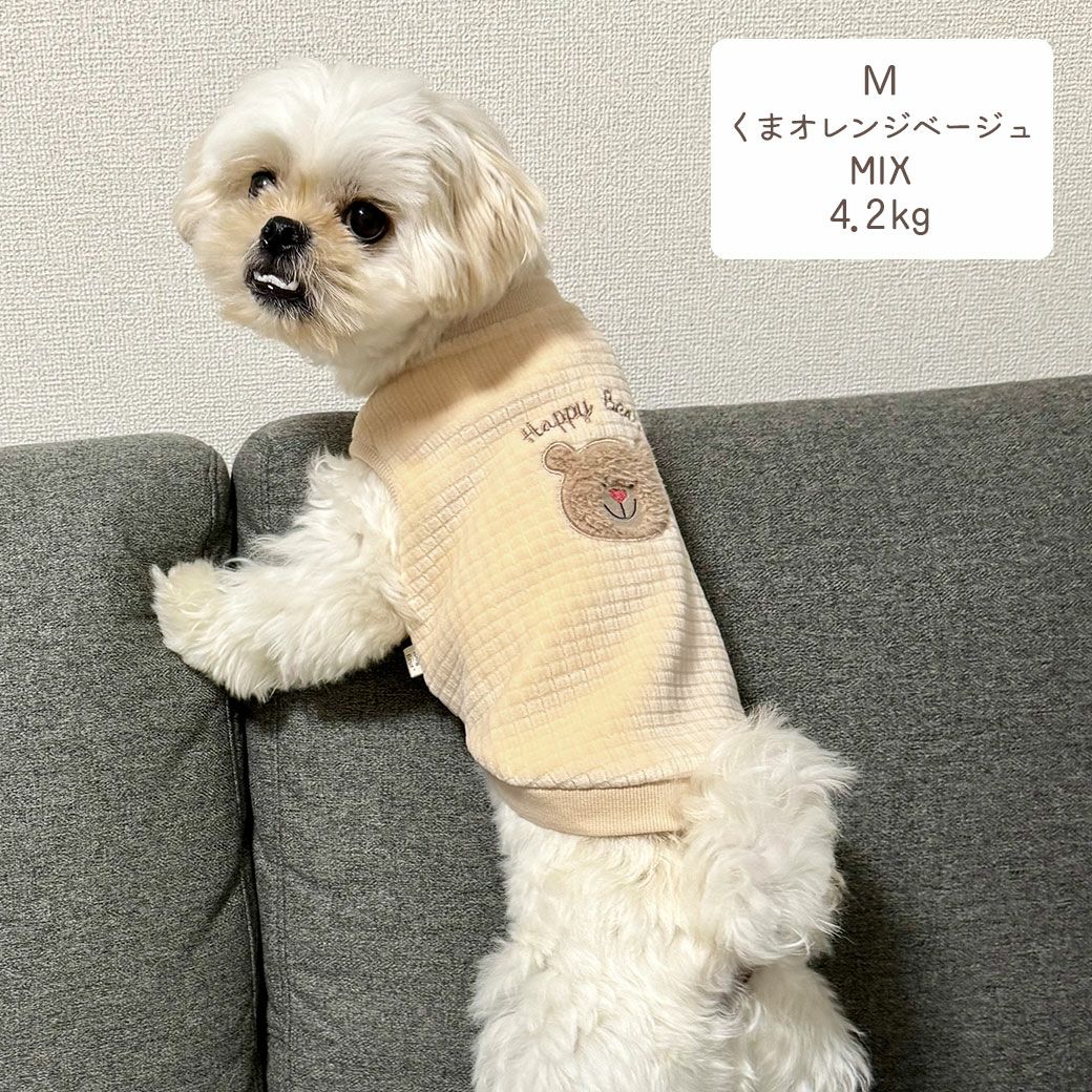 MIX4.2kg(首24/胴38/丈30cm)のとろろくんはくまオレンジベージュのMを着用