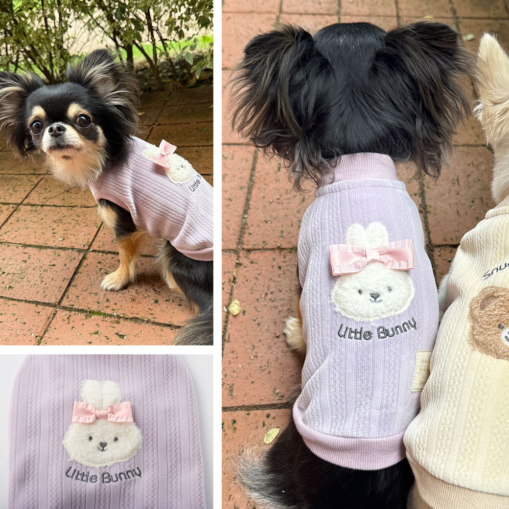 トイプー2.3kg(首18/胴31/丈24cm)のメルシーちゃんはハートオフホワイトのSを着用