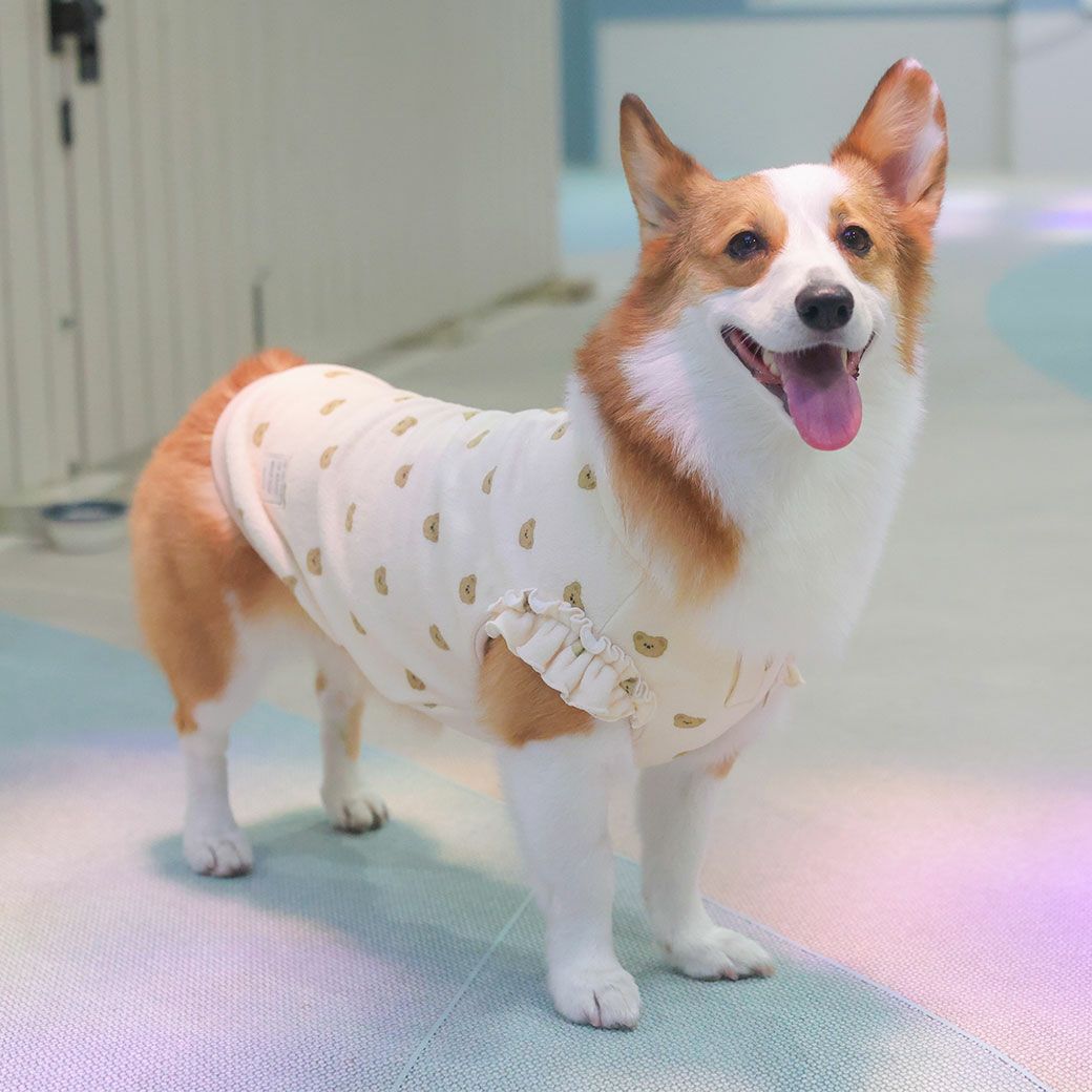 寒い日のおしゃれも楽しい「iDogfleur」のあったか犬用タンクトップ