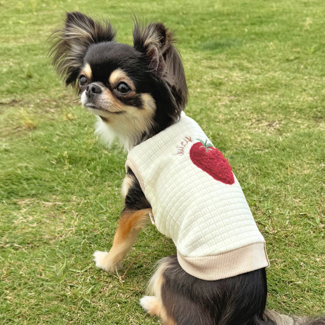 ふわふわのモチーフがかわいいタンクトップ