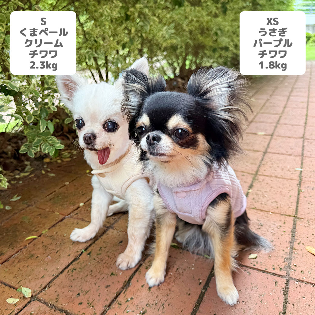 袖のフリルがキュート
