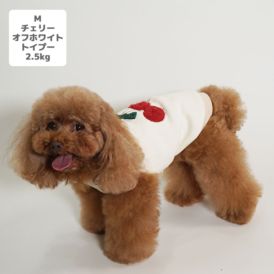 iDogfleur
