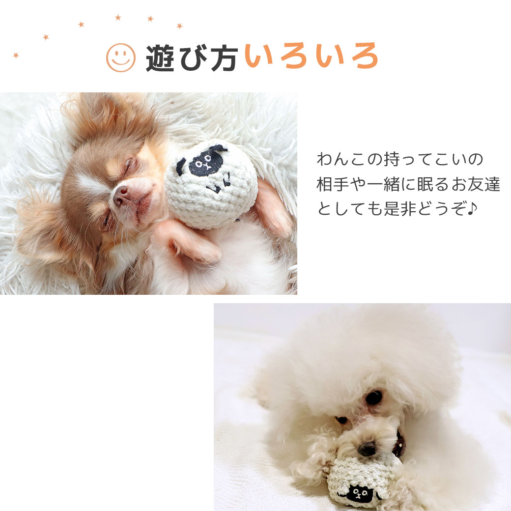 愛犬とのコミュニケーション