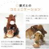 愛犬とのコミュニケーション