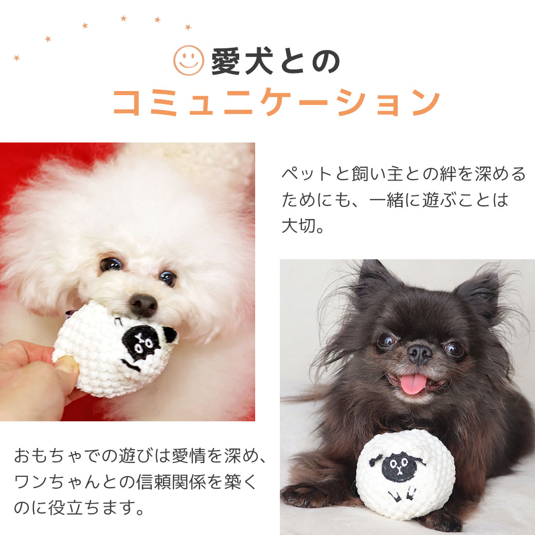 トイプー1.9kg(首17/胴29/丈22cm)のメリナちゃんが遊んでくれました