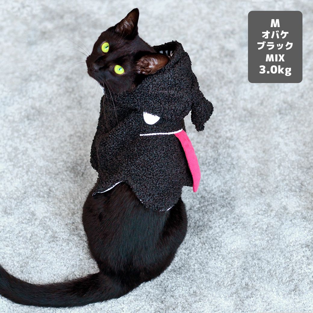 MIX3.0kg(首16.5/胴29/丈43cm)の十花ちゃんはオバケブラックのM着用