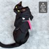 MIX3.0kg(首16.5/胴29/丈43cm)の十花ちゃんはオバケブラックのM着用