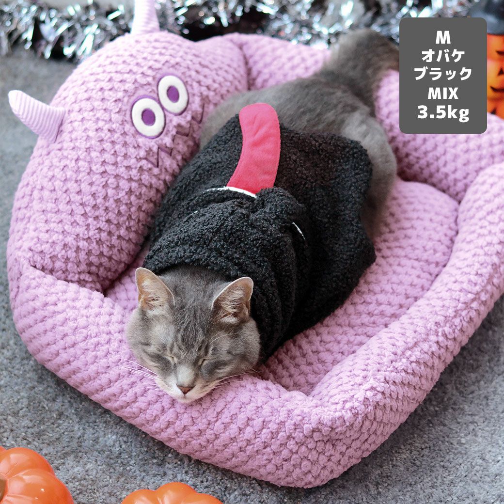 MIX3.5kg(首18.5/胴39/丈50cm)の六花ちゃんはオバケブラックのMを着用