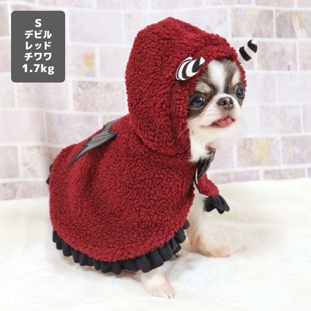 チワワ1.7kg(首18/胴27.5/丈18cm)の小真知ちゃんはデビルレッドのSを着用