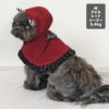 シーズー5.4kg(首26/胴38/丈38cm)のつぶくんはデビルレッドのMを着用