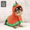 チワワ1.9kg(首19/胴29.5/丈21.5cm)のウメちゃんはパンプキンのSを着用
