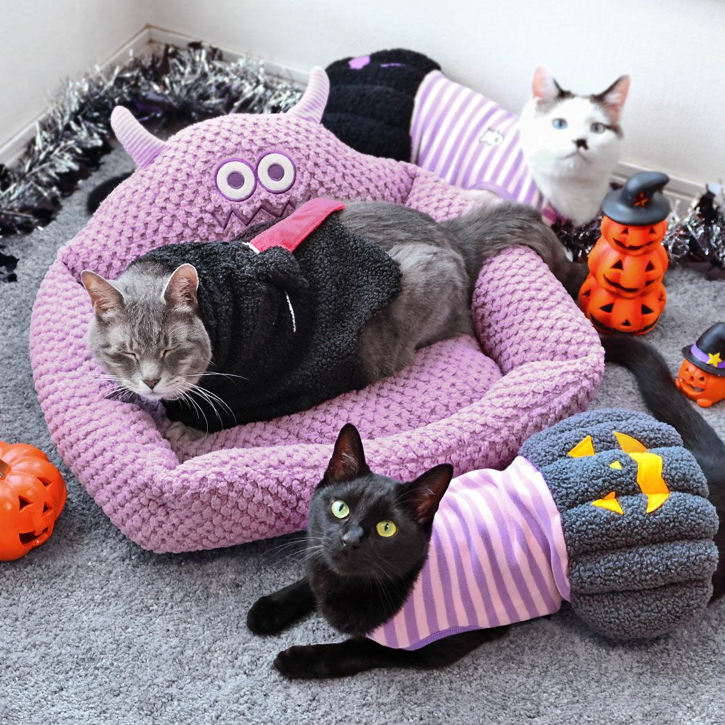 かわいいケープでハロウィンパーティを盛り上げよう！