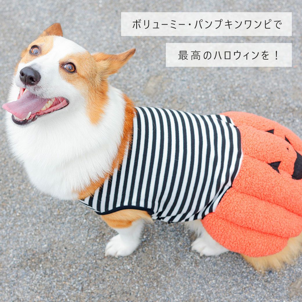 iDog パンプキンワンピ アイドッグ-犬猫ペット用品通販 IDOG&ICAT 