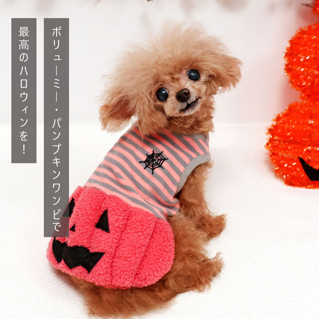 iDogパンプキンワンピアイドッグ
