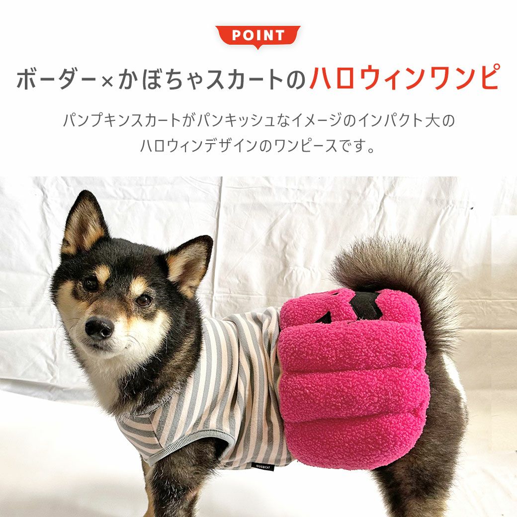 ボーダー×かぼちゃスカートがかわいい犬用ハロウィンワンピ