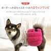 ボーダー×かぼちゃスカートがかわいい犬用ハロウィンワンピ