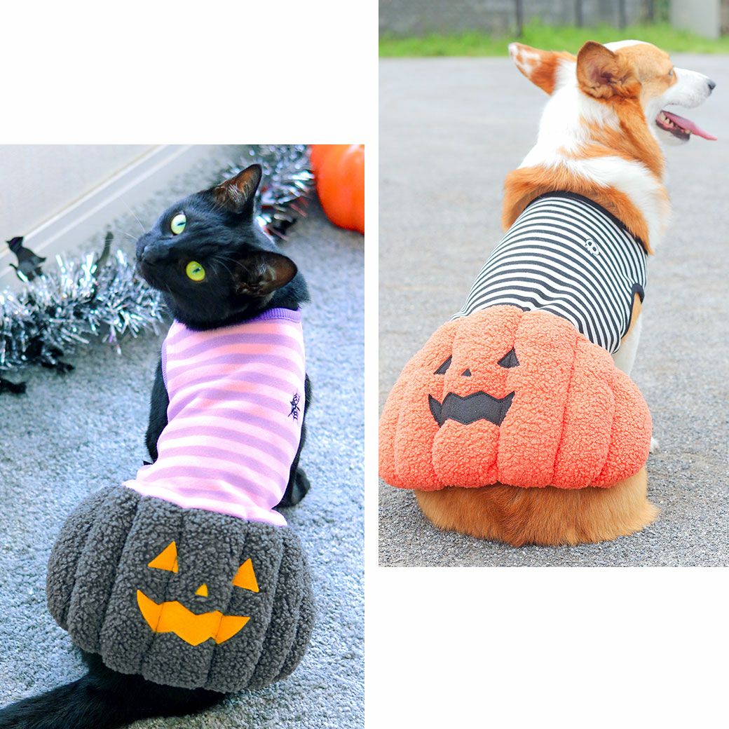 iDog パンプキンワンピ アイドッグ-犬猫ペット用品通販 IDOG&ICAT  