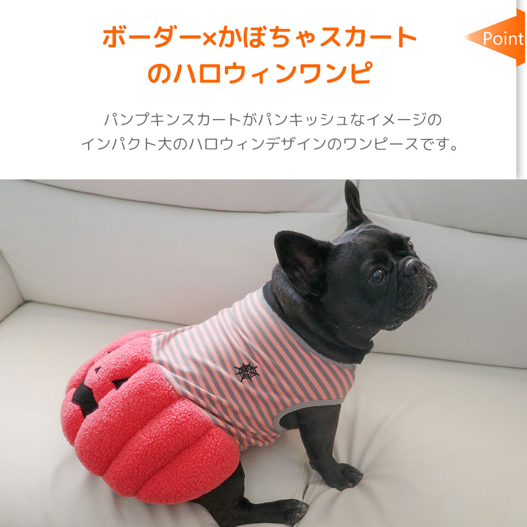 ボーダー×かぼちゃスカートがかわいい犬用ハロウィンワンピ
