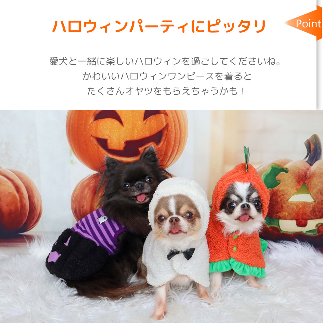 ファブリック