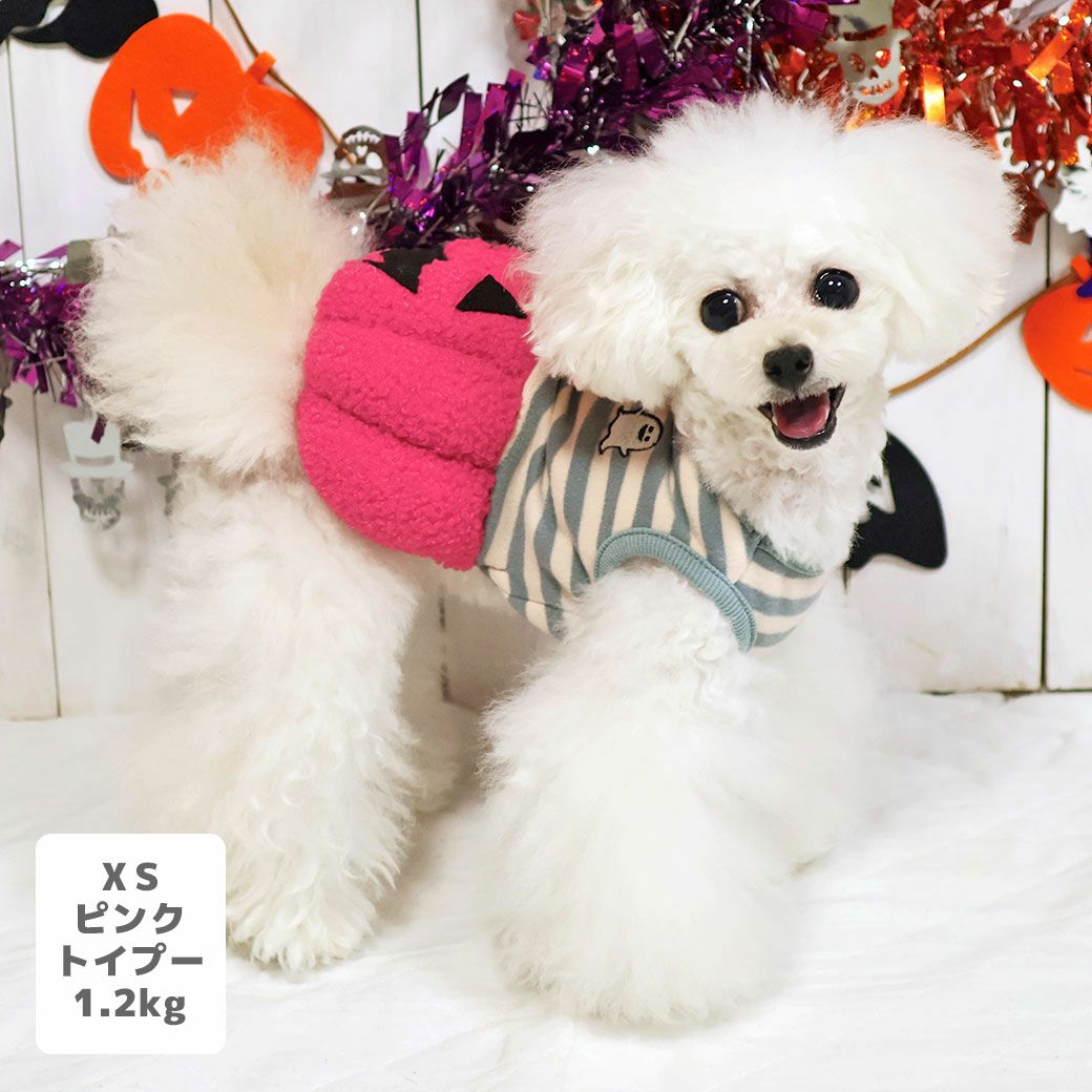 トイプー1.2kg(首15/胴26/丈19cm)のマユリちゃんはピンクのXSを着用