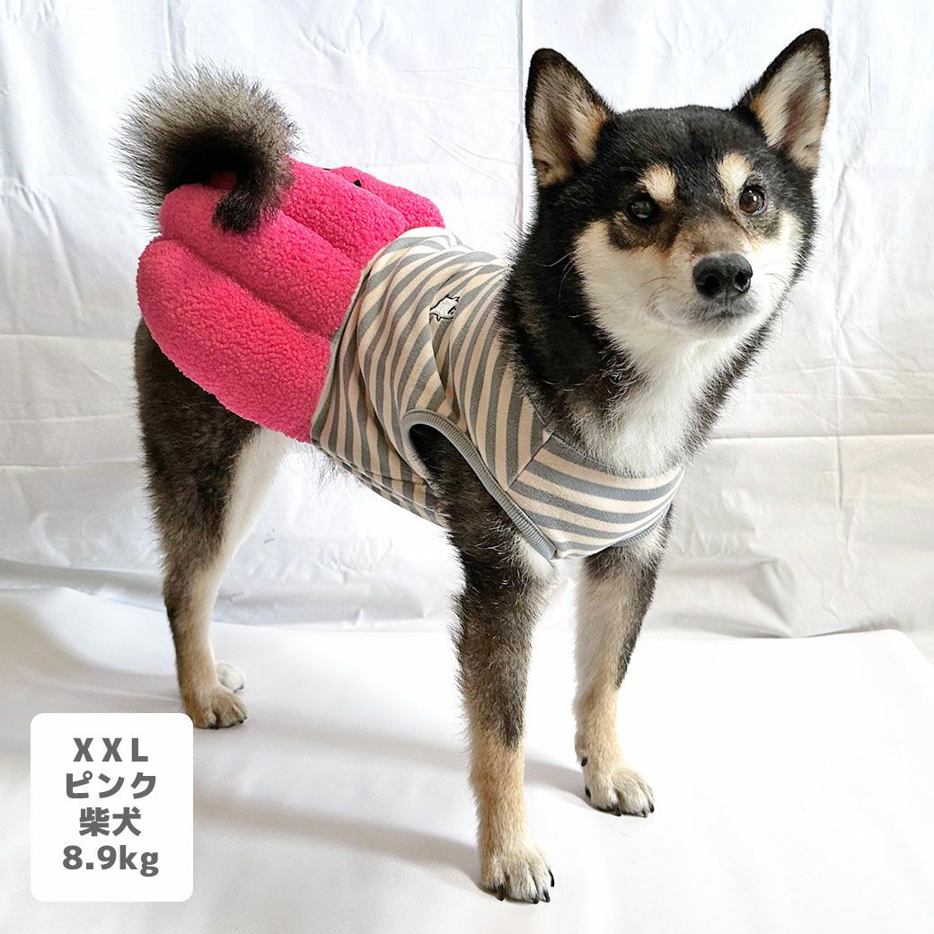柴犬8.9kg(首33/胴54/丈39cm)のチョコプリンちゃんはピンクのXXLを着用