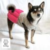柴犬8.9kg(首33/胴54/丈39cm)のチョコプリンちゃんはピンクのXXLを着用