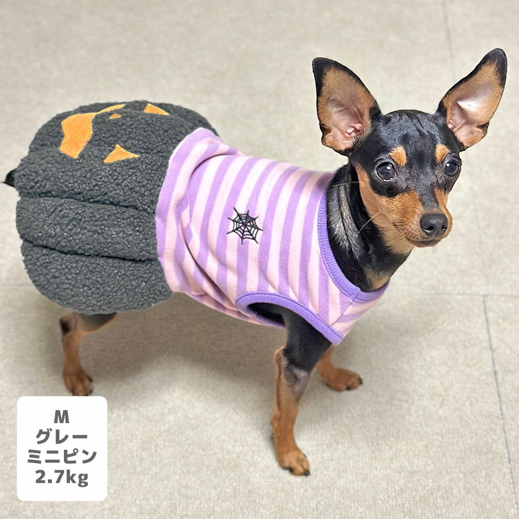 ミニピン2.7kg(首20/胴36/丈23.5cm)のルナちゃんはグレーのMを着用