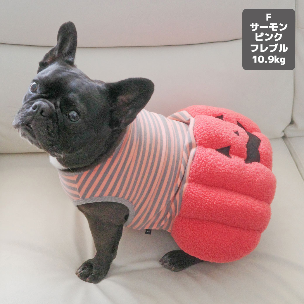 ミニピン2.7kg(首20/胴36/丈23.5cm)のルナちゃんはグレーのMを着用