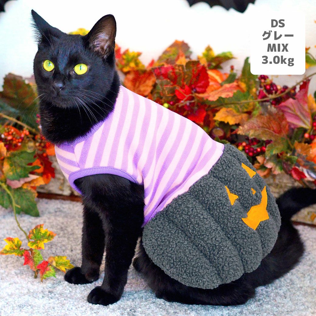 MIX3.0kg(首16.5/胴29/丈43cm)の十花ちゃんはグレーのDS着用