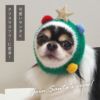 iDogクリスマススヌードアイドッグ