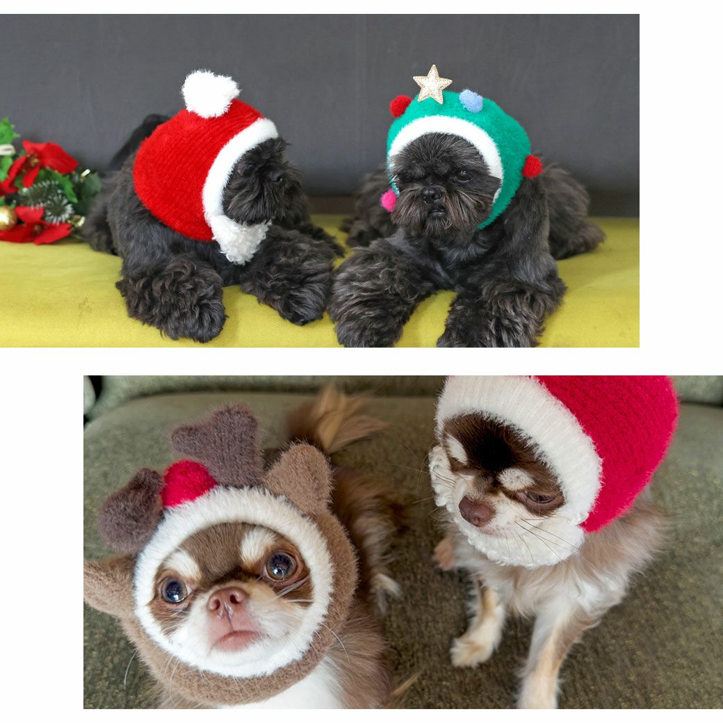 クリスマスにピッタリのかぶりものスヌードです。