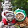 愛犬・愛猫と一緒に楽しいクリスマスを過ごそう