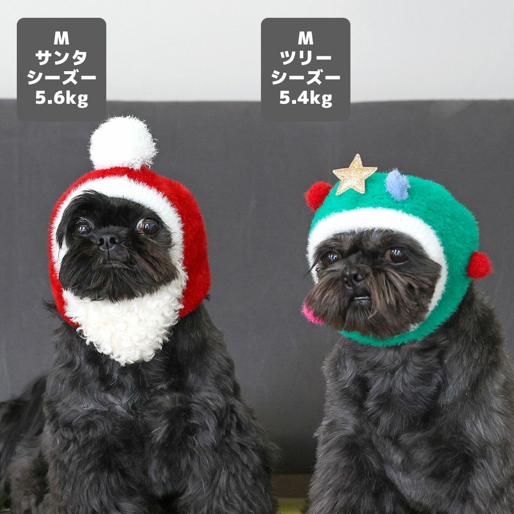 シーズー5.6kg(首26/胴40/丈30cm)のあんこくん(左)はサンタのM、シーズー5.4kg(首26/胴38/丈38cm)のつぶくん(右)はツリーのMを着用