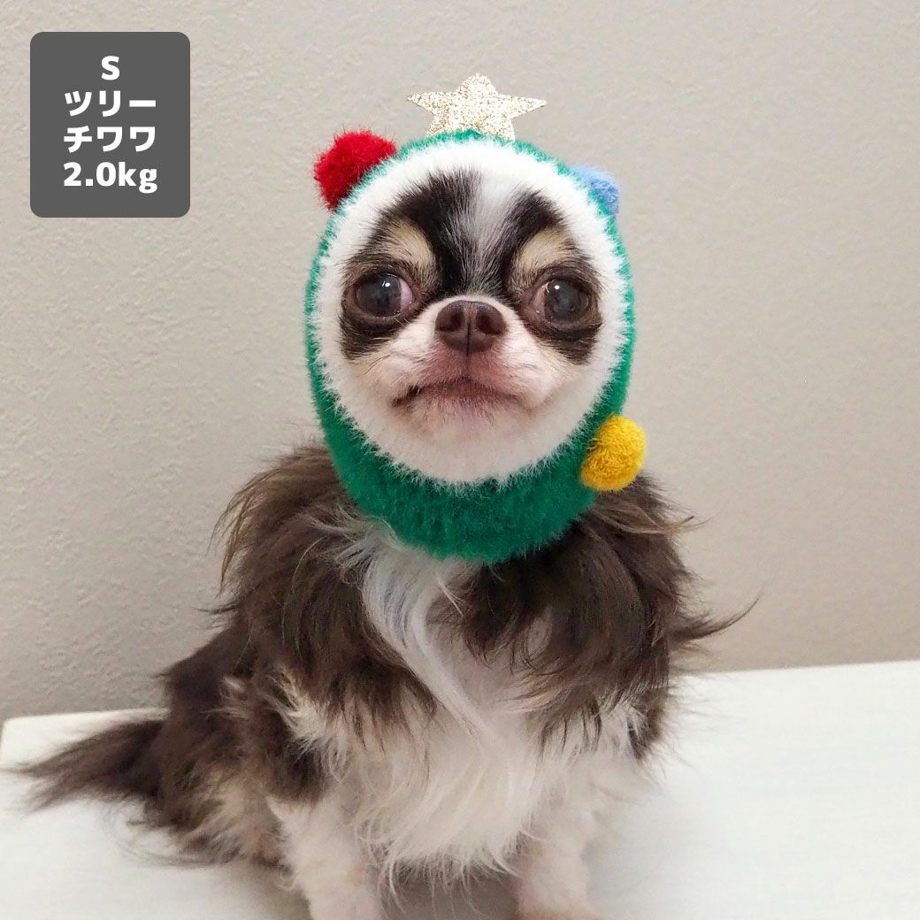 チワワ2.0kg(首18/胴28/丈27cm)のロキくんはツリーのSを着用