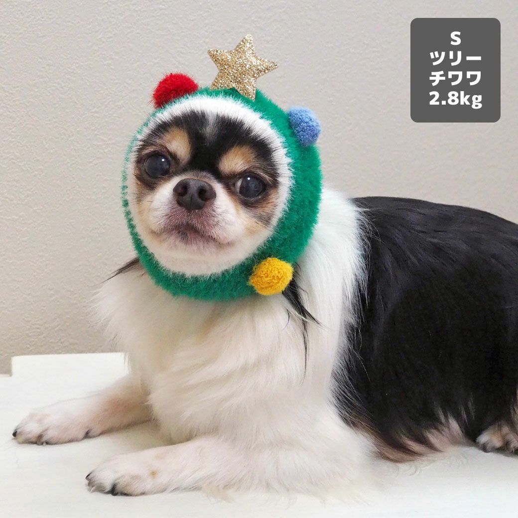 チワワ2.85kg(首21/胴33/丈31cm)のアポロくんもツリーのSを着用