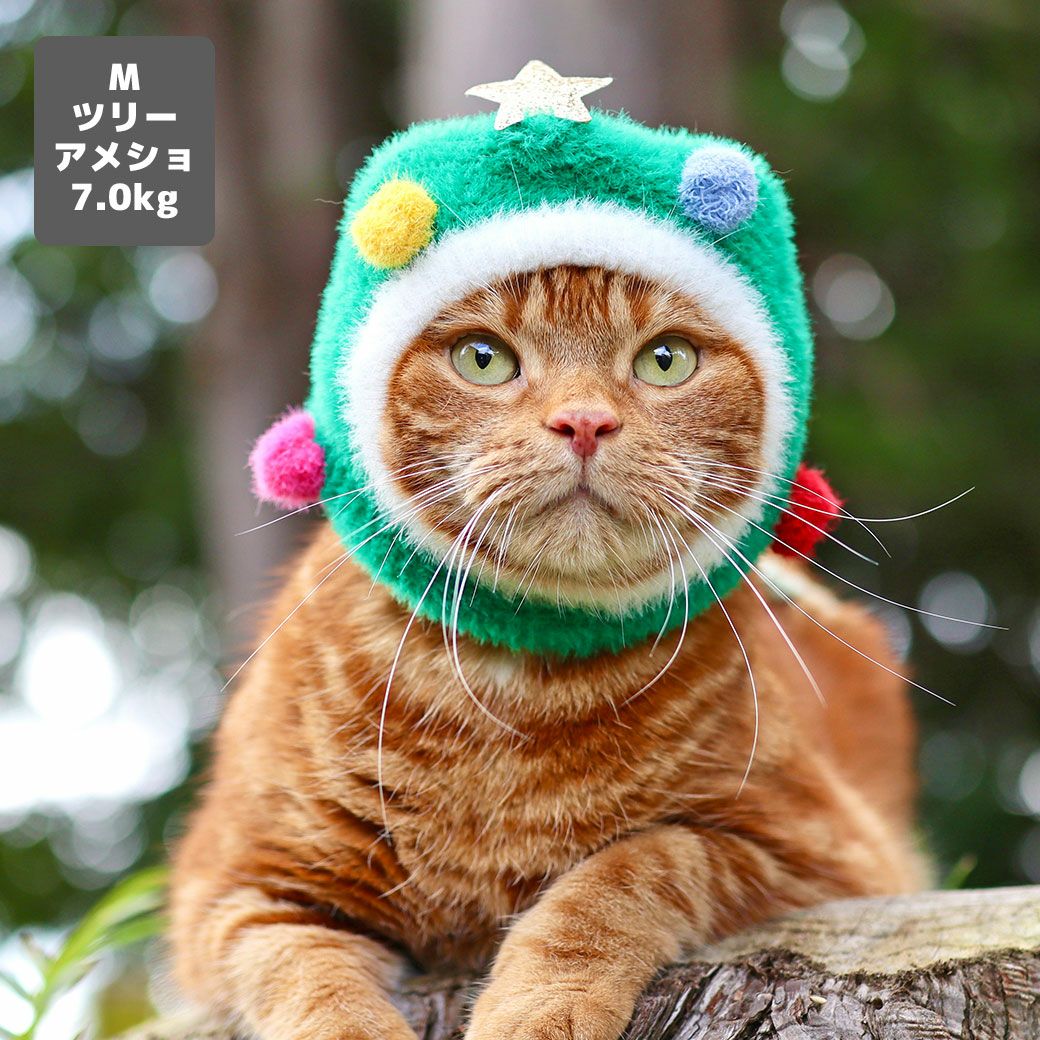 アメショ7.0kg(首28/胴48/丈28cm)のタラくんはツリーのMを着用
