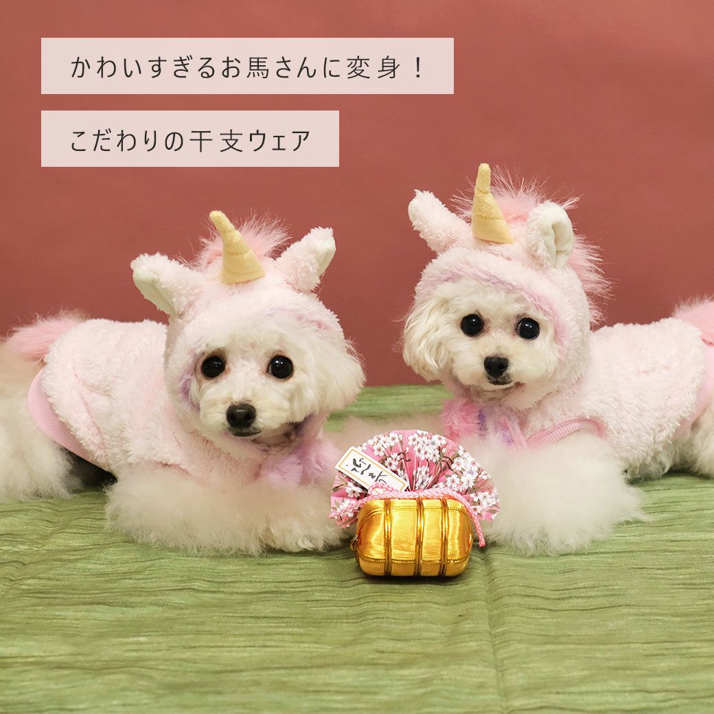 iDog干支のコスチュームお馬さんパーカーアイドッグ