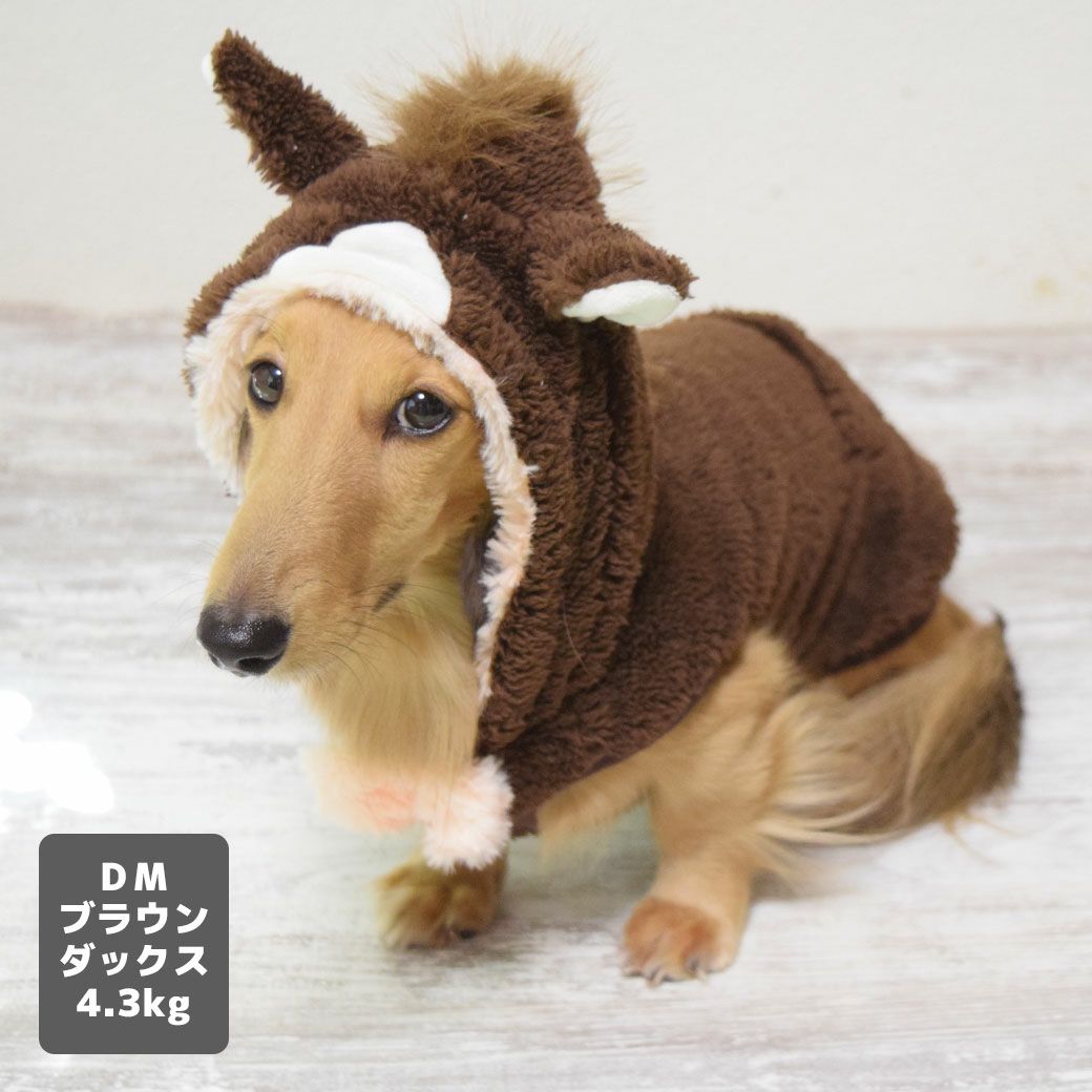 ミニチュアダックス4.3kg(首27/胴40/丈33cm)のALFaくんはブラウンのDMを着用
