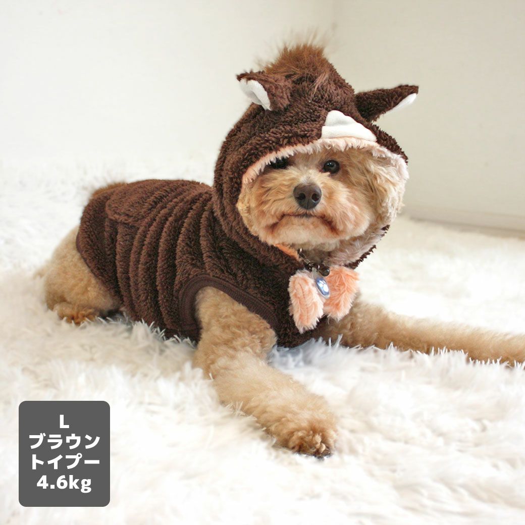 トイプー4.6kg(首25/胴40/丈34cm)のフク丸くんはブラウンのLを着用