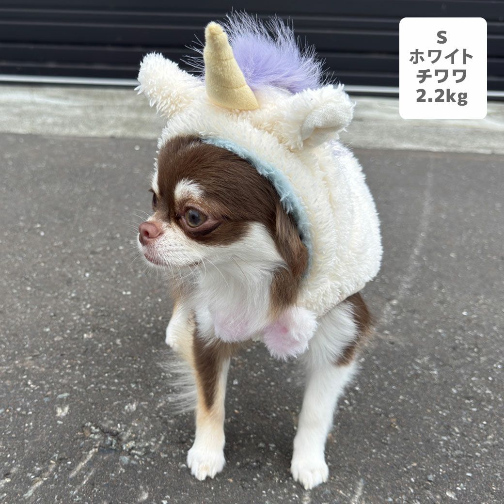 チワワ2.2kg(首18.5/胴30/丈30cm)のピクルスくんはホワイトのSを着用