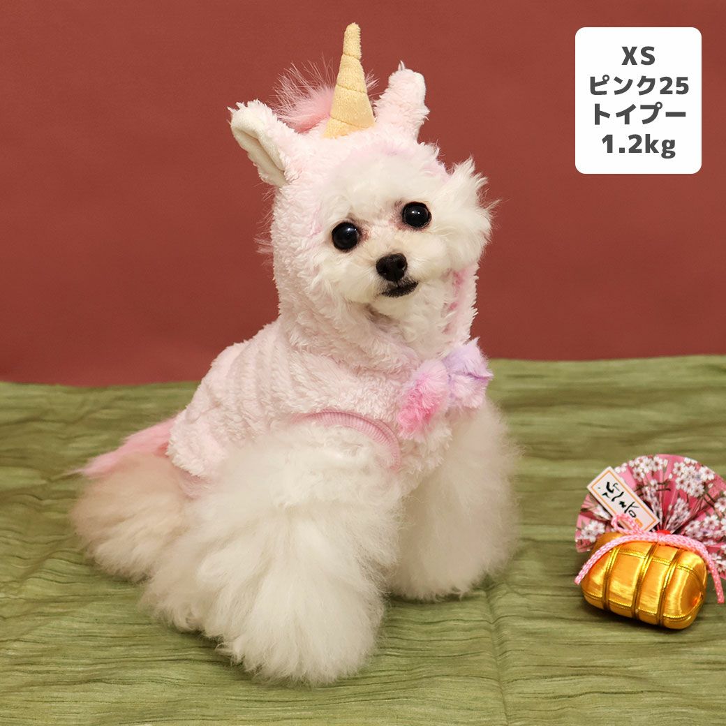 トイプー1.2kg(首15/胴26/丈19cm)のマユリちゃんはピンク25のXSを着用