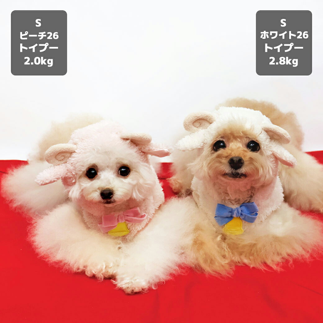 トイプー1.9kg(首17/胴29/丈22cm)のメリナちゃんはピンク25のSを着用